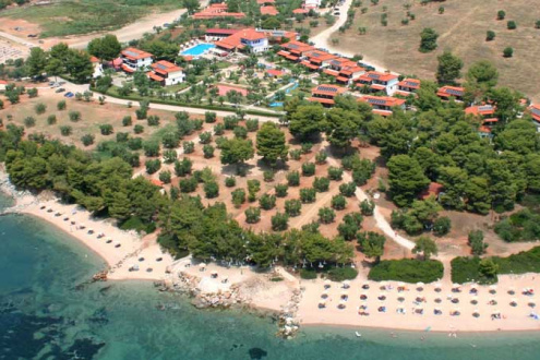 BLUE DOLPHIN - Изображение 1